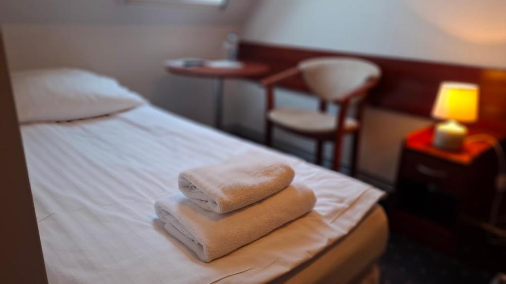 Hotel Podjadek - Single Room