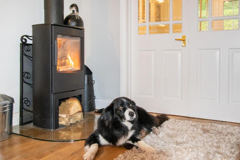 a dog laying on the floor in front of a stove at 2 Bed in Peterstow oc-w33537 in Peterstow