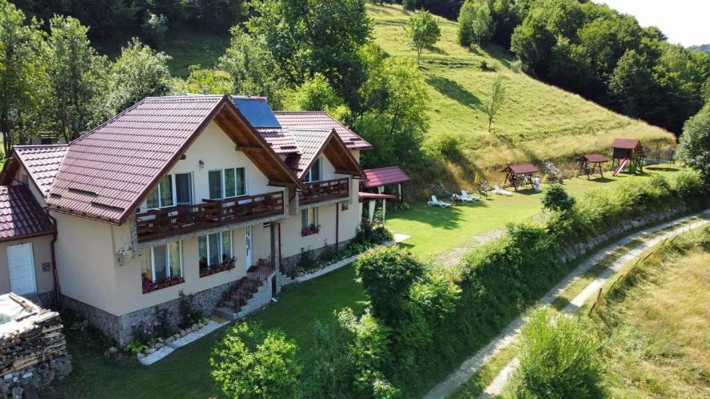 a house on a hill with a grassy yard at Casa cu Muscate in Cîmpeni