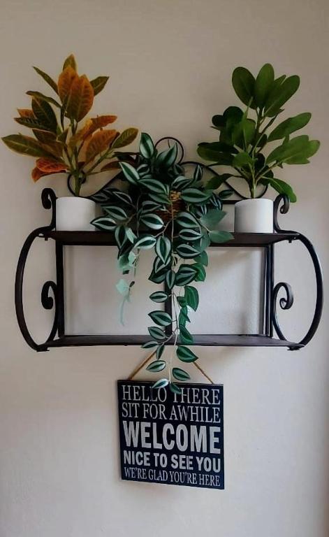 two black shelves with potted plants on a wall at Karoo House Guesthouse in Somerset East