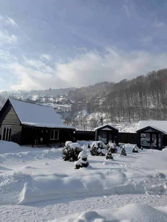 a snow covered yard with a house and buildings at Grey House in Kvasy