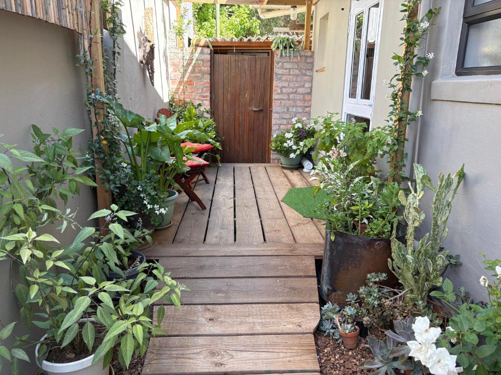 a wooden pathway leading to a door with plants at Fig Tree in Montagu