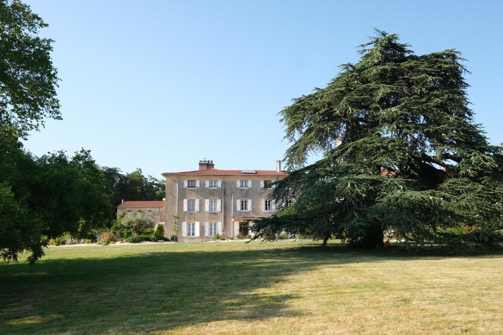 a large pine tree in front of a building at Château de Lemps in Lemps