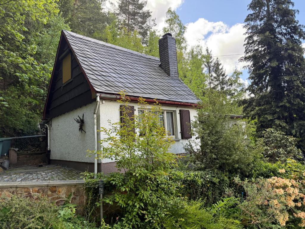 a small house in the middle of a forest at Waldhaus zur Kleinbahn in Glashütte