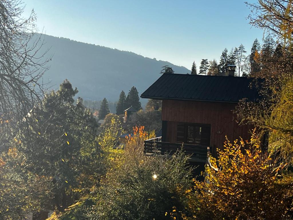 a cabin in the middle of a mountain with trees at Chalet La Ponote in Samoëns