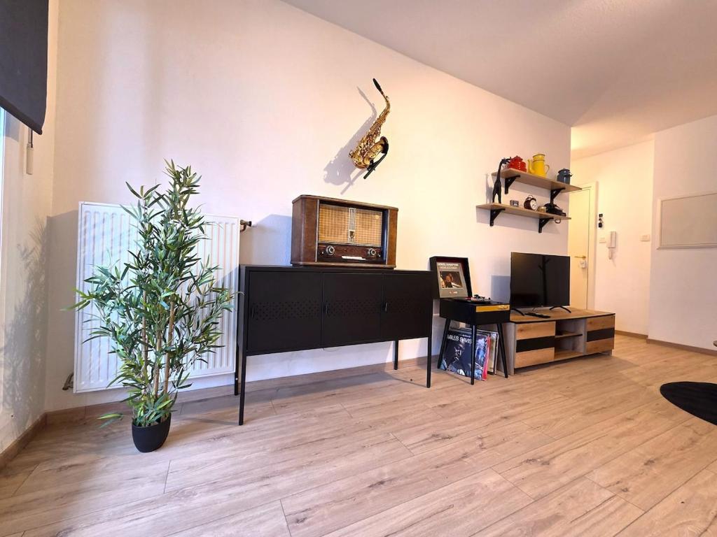 Jazz & Colmar - T2 - Free Parking - Centre ville- Colmar – photo 12