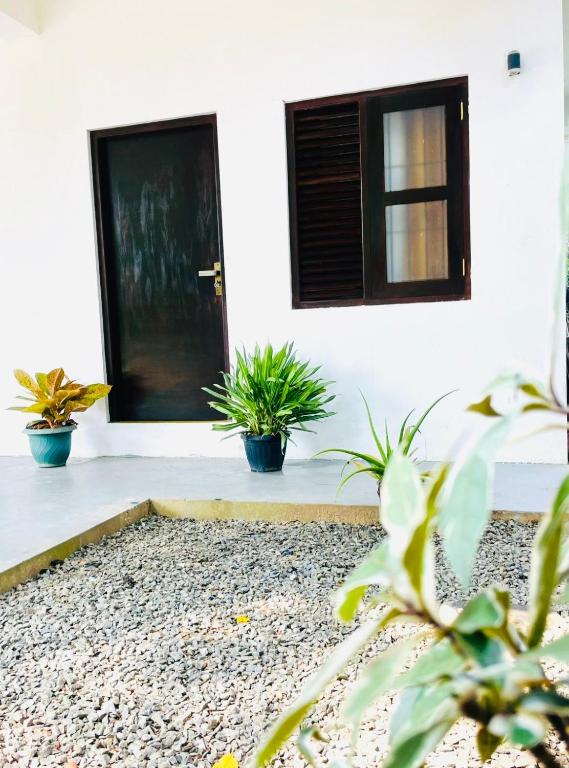 a house with potted plants in front of a door at Lucky Eagle Nest in Tangalle