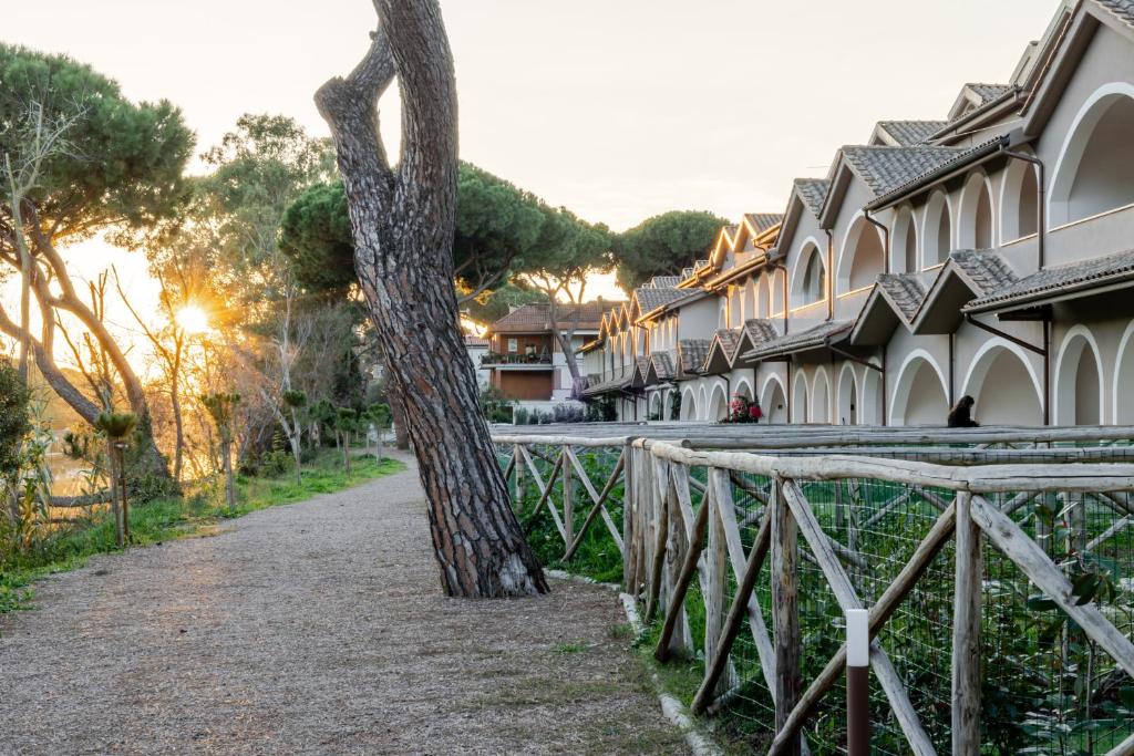 a tree next to a fence next to a street at Borgo Del Navigatore in Marina di Grosseto