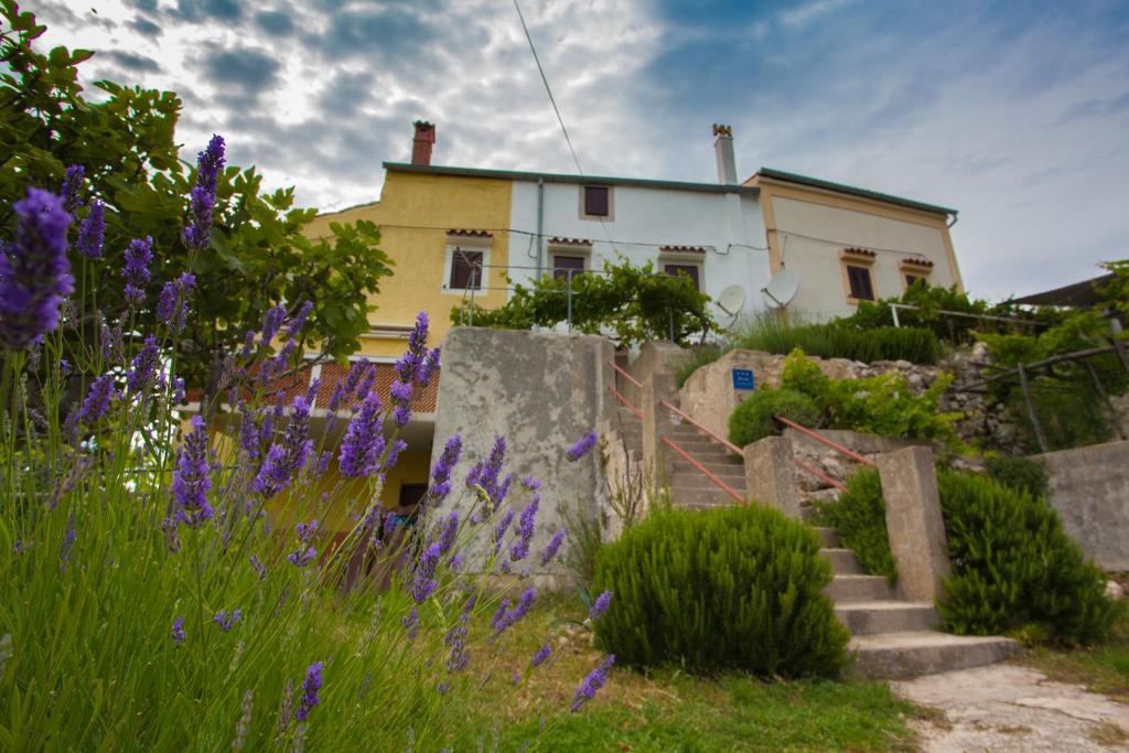 una casa con fiori viola di fronte di Apartment Vidovići a Martinšćica