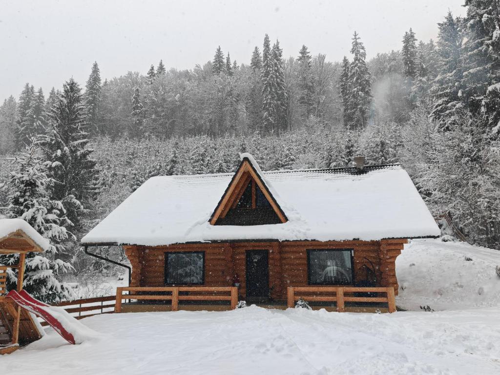 Kış mevsiminde Wild tree house