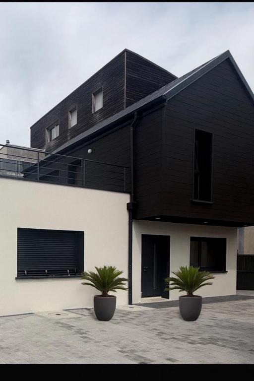 a black and white building with two potted plants at Maison centre-ville in Dijon