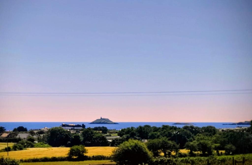 a view of the ocean from a hill with trees at Lighthouse view in Garryvoe