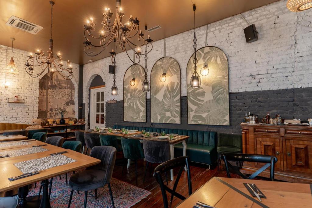 Domestic House Lola - 3