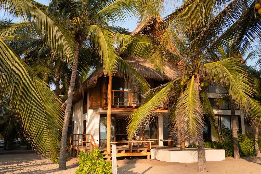 a resort with palm trees in front of it at Hábitat Nandá in La Manzanilla