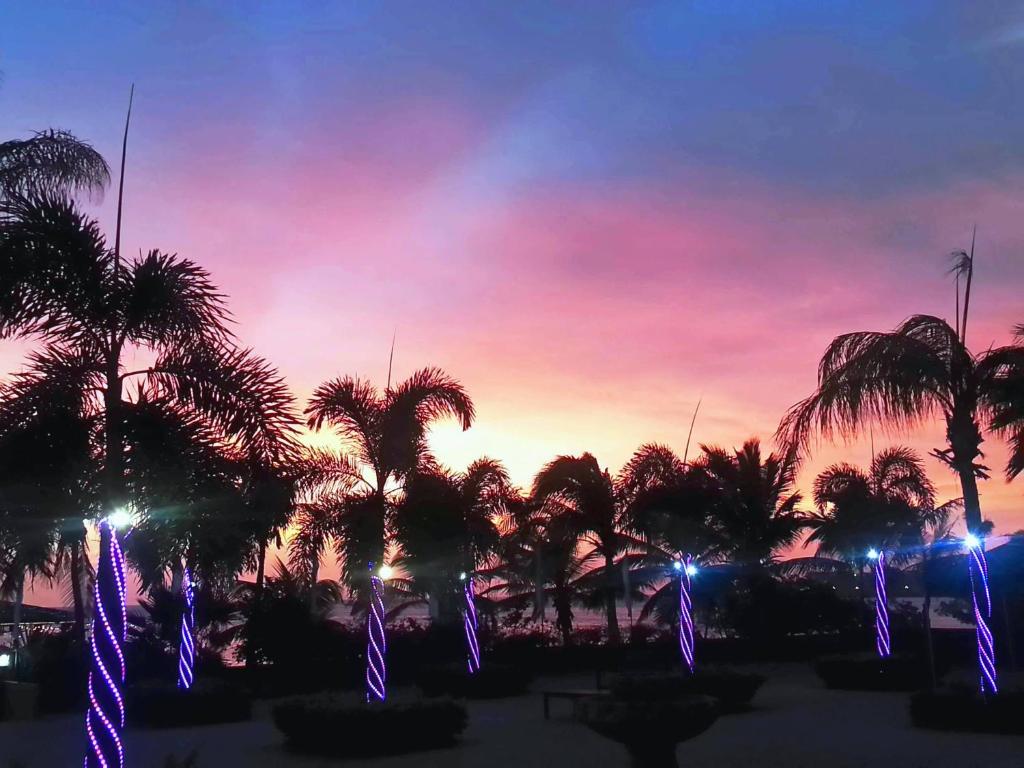 una puesta de sol con palmeras y luces en un parque en Aruba Surfside Marina, en Oranjestad