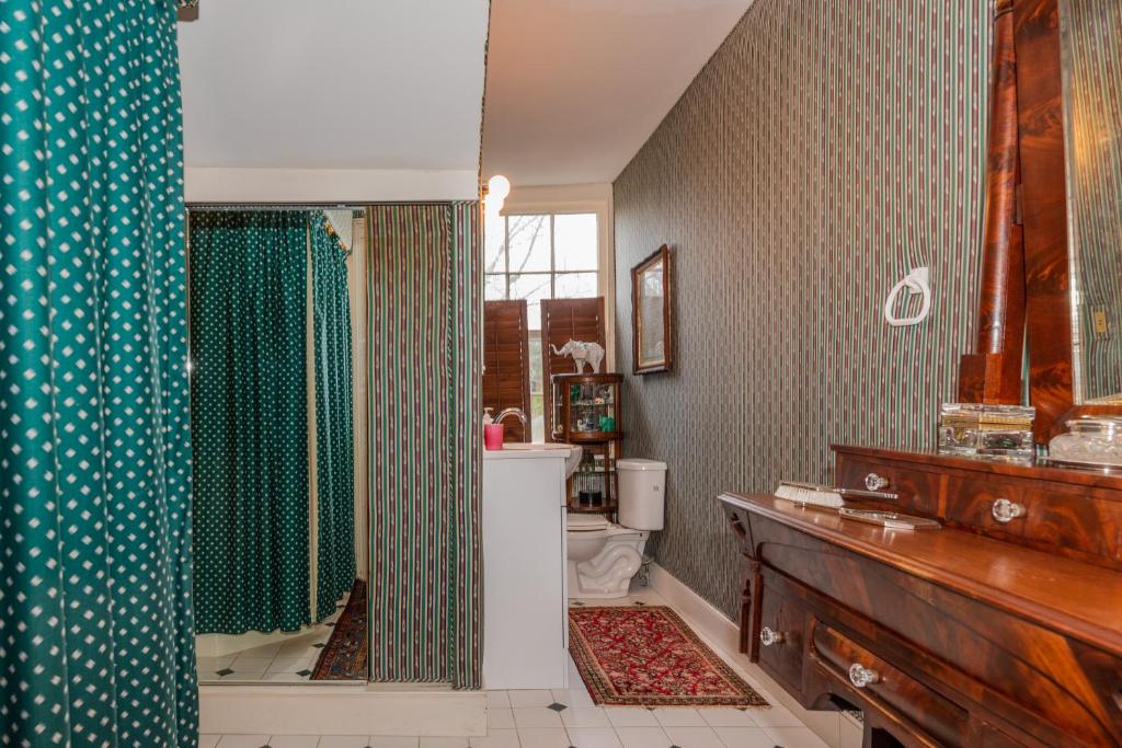 a bathroom with a shower and a toilet in it at Terrace Carriage House in Natchez