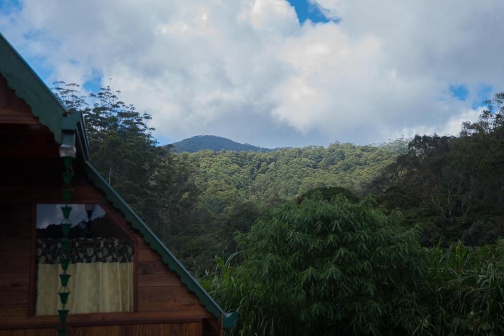 a balcony of a house with a view of the forest at Cloud Nest Cabana in Ohiya