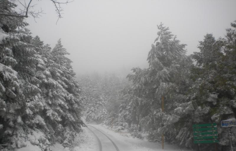 Cavallari Palace Hotel Suites - Resim 40