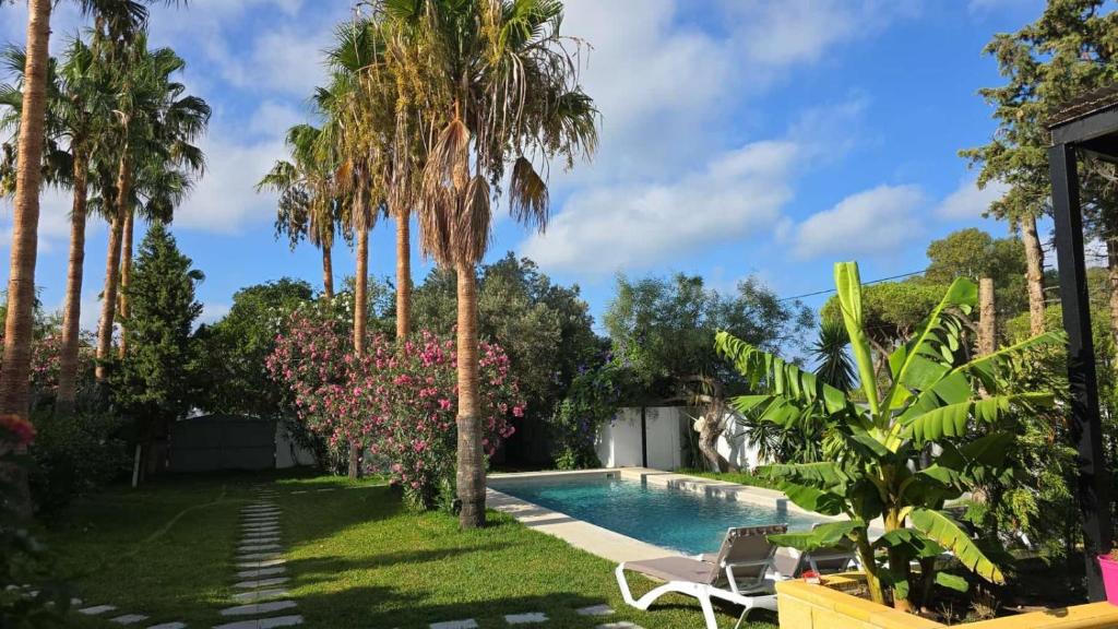 a backyard with a swimming pool and palm trees at Finca Feliciano in Novo Sancti Petri