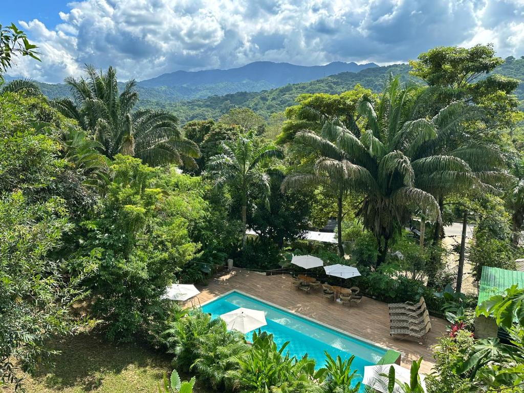 an aerial view of a swimming pool in a forest at Hotel La Casablanca Tayrona in Calabazo