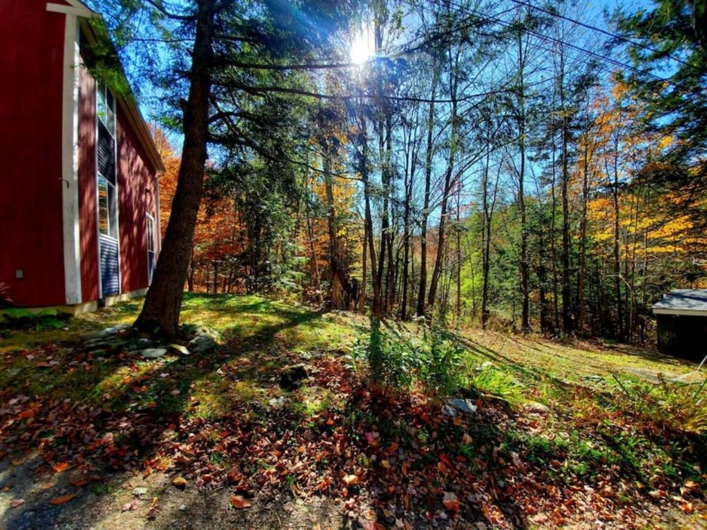 a red barn in the woods next to a tree at Fiddlehead Greens in Warren