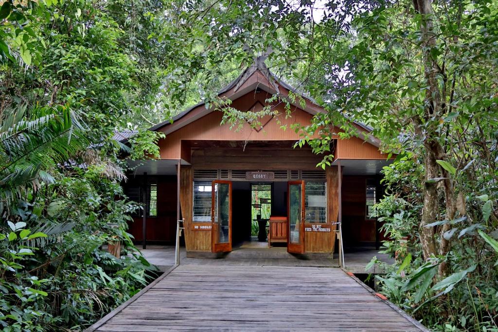 a wooden walkway leading to a building in the woods at Rimba Orangutan Ecolodge in Kampungcina