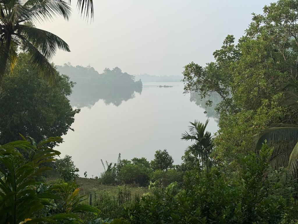 a view of a lake in the middle of trees at Cinnamon lodge rooms in Koggala