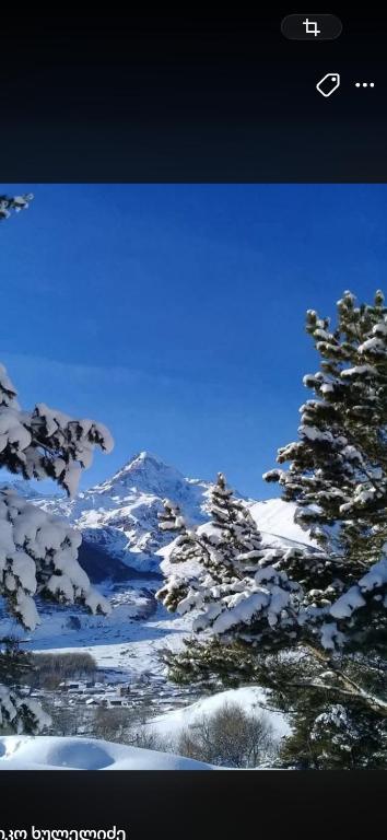 Lia Khaikashvili Guest House