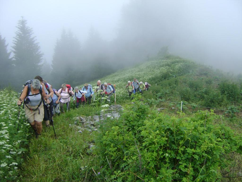 Hosté ubytování Albergo La Pace