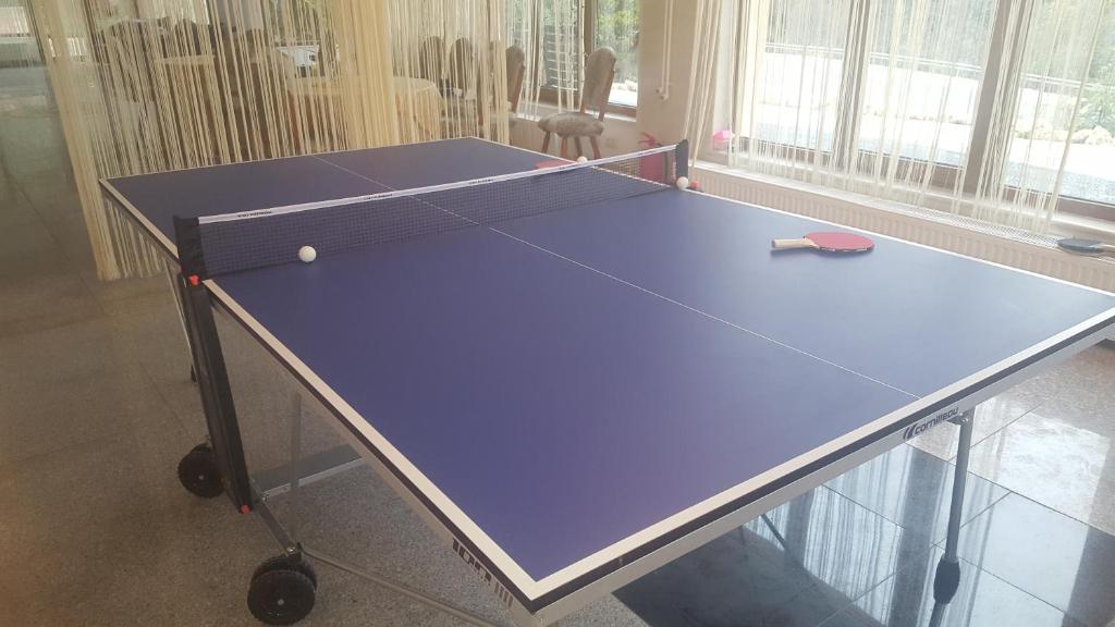 Stolní tenis v ubytování Pensiunea Alexandra nebo okolí