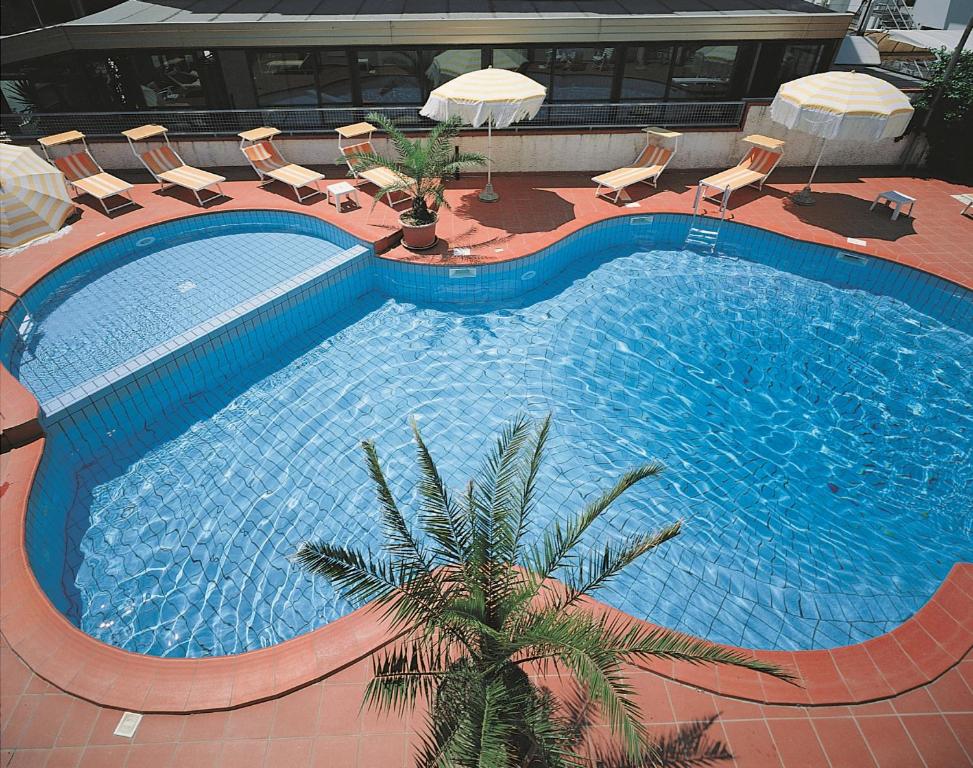 a large swimming pool with chairs and a palm tree at Hotel Calypso in Cesenatico