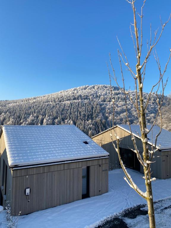 a barn covered in snow with a mountain in the background at Sauerland Lodge - Haus Maxim in Winterberg