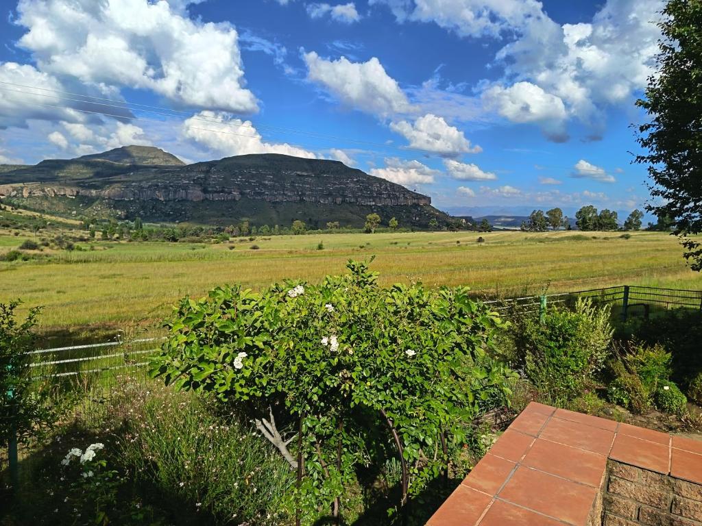 a view of a field with a mountain in the background at Uitkyk Guest House in Fouriesburg