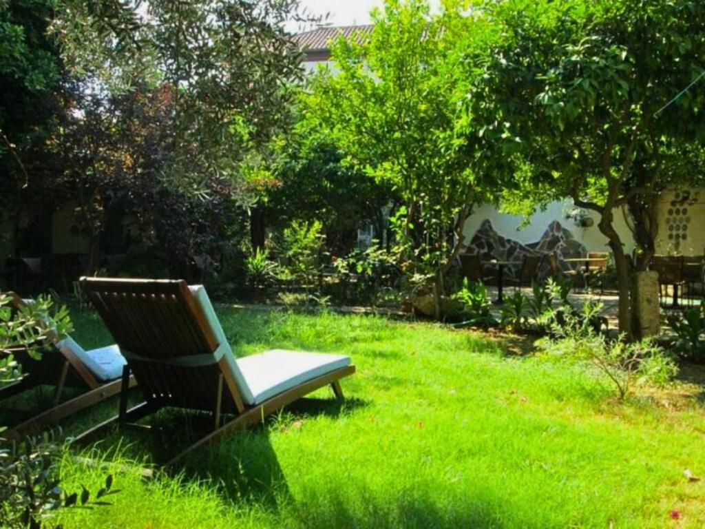 Hadrianus Pansion - 13