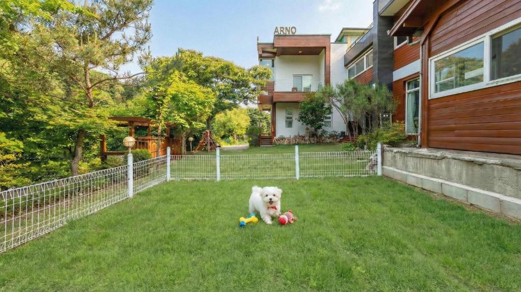 a white dog sitting on the grass in front of a house at Gapyeong Areuno Pet Pension in Gapyeong