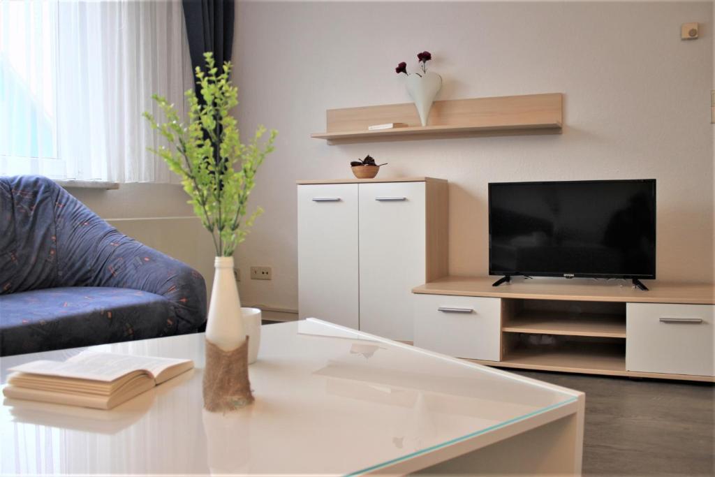a living room with a couch and a tv at Am Langenwerder Whg 4 in Gollwitz