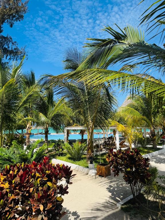a view of a resort with palm trees and the ocean at Jambo Resort by Mambo Hotels in Paje