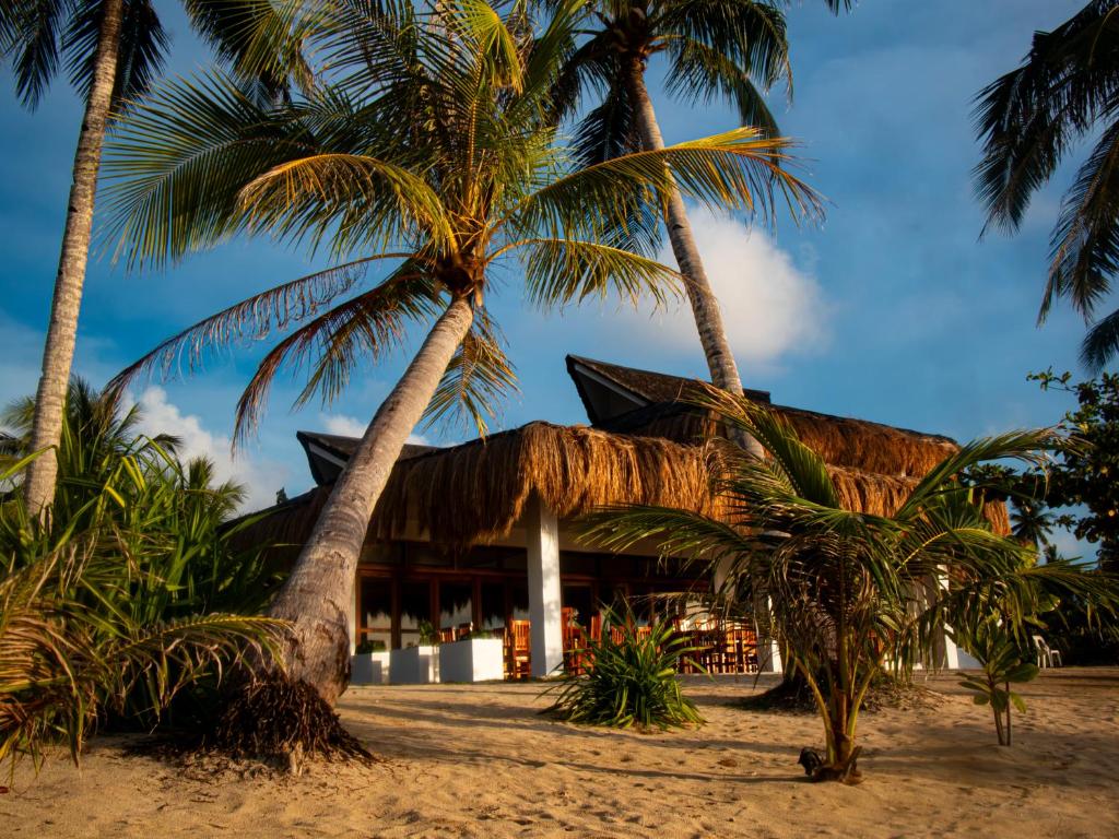 a resort on the beach with palm trees at HilNer's Beach Resort in Alegria