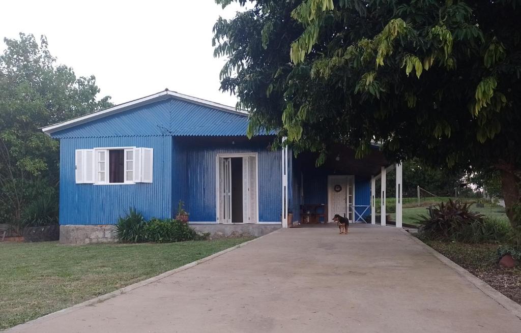 a blue house with a dog in front of it at Casa de Alquiler Cláudia in Pântano Grande