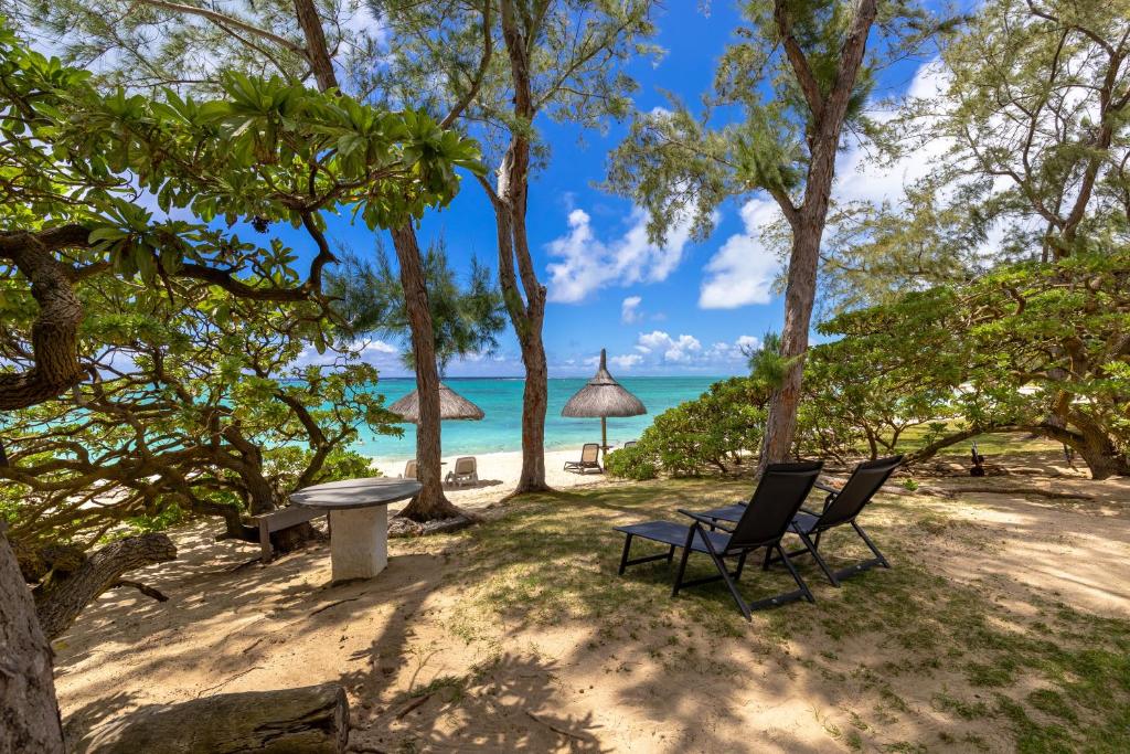 a bench and chairs on a beach with the ocean at BlueMoon Studio on the Beach! in Trou d'Eau Douce
