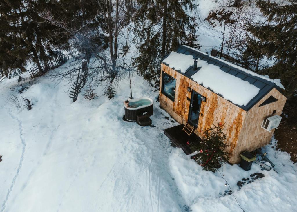 an aerial view of a tiny house in the snow at TogetherNest - Cedar in Mătişeşti