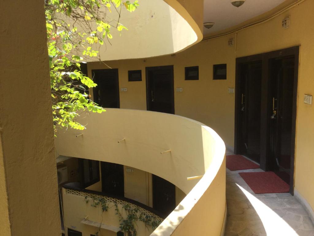 a curved staircase in a building with a plant at Mewar Inn in Udaipur