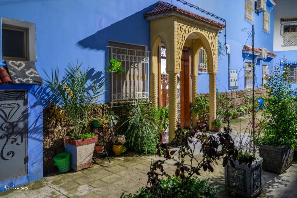a blue building with plants in front of it at Dar jawhara in Chefchaouen