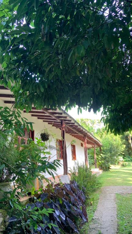 a house with a tree in front of it at ecopolis birds lodge in El Queremal
