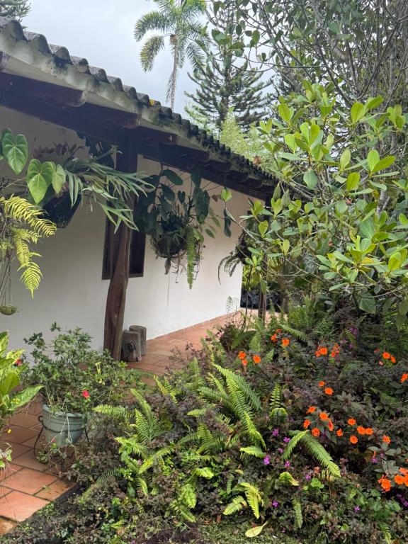 Ecopolis casa de campo - Housity