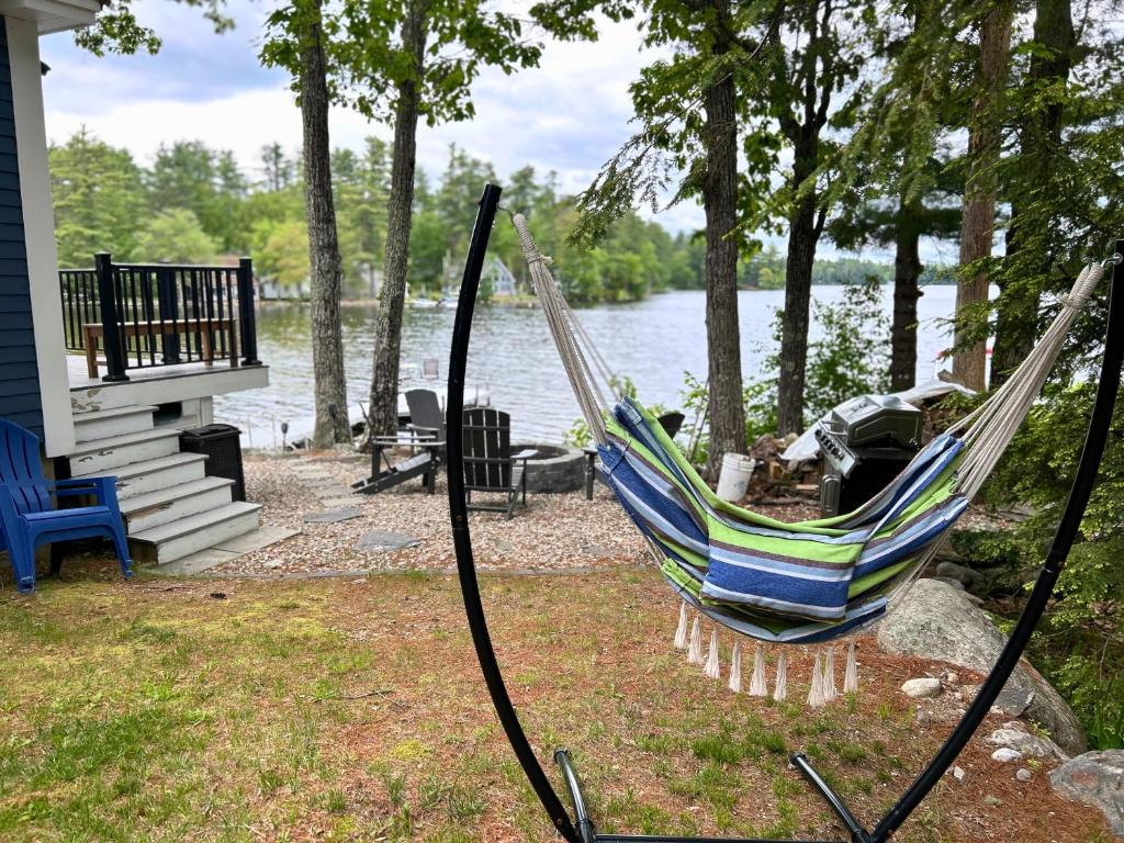 a hammock sitting in a yard next to a house at Eagle's Landing Private Dock Dog Friendly in Acton