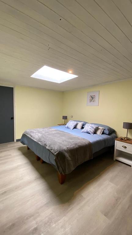 a bedroom with a large bed with a ceiling at Casa Ferrari pichilemu in Pichilemu