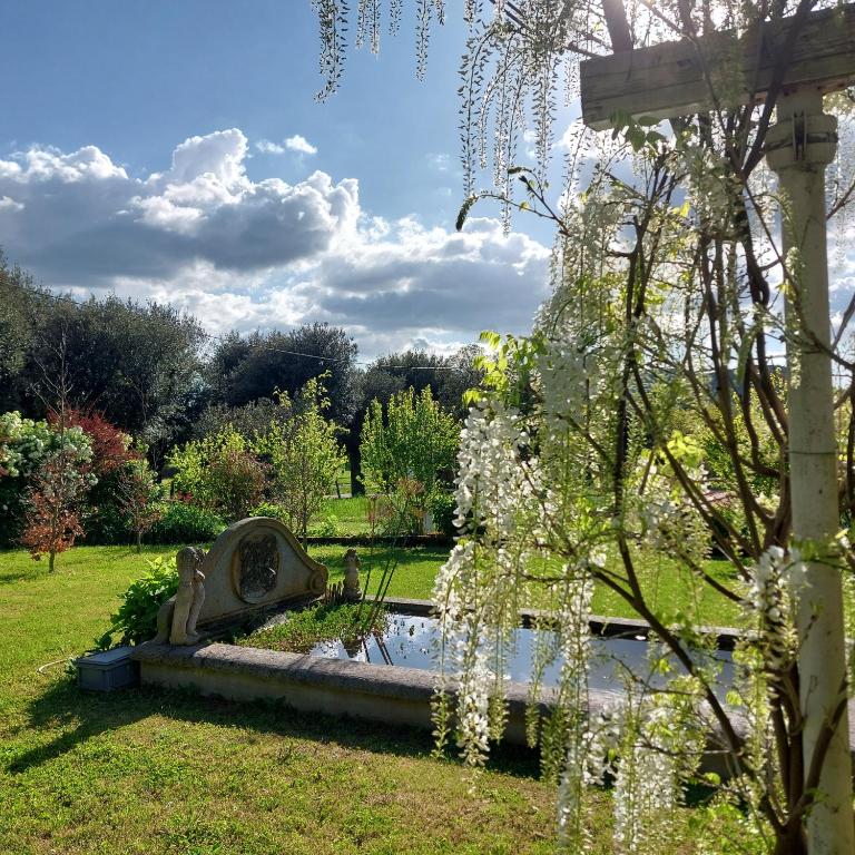 a garden with a pond and a tree with white flowers at Orto delle Fate in Marta