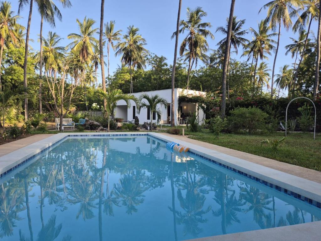 a swimming pool with palm trees in the background at Nyotas gem in Watamu