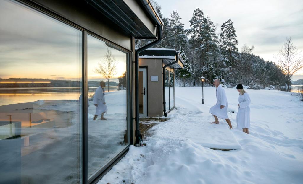 Två Skyttlar a l'hivern